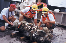 Craig and colleagues examine cannon from shipwreck