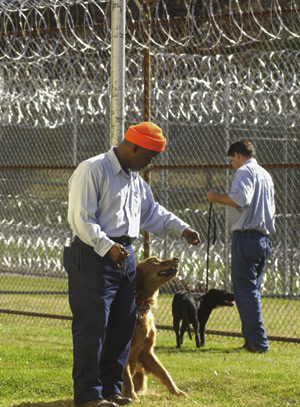 prisoner with pet