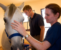 Marion duPont Scott Equine Medical Center