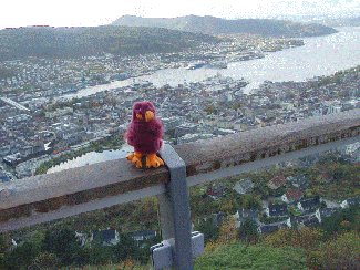 HokieBird in Norway