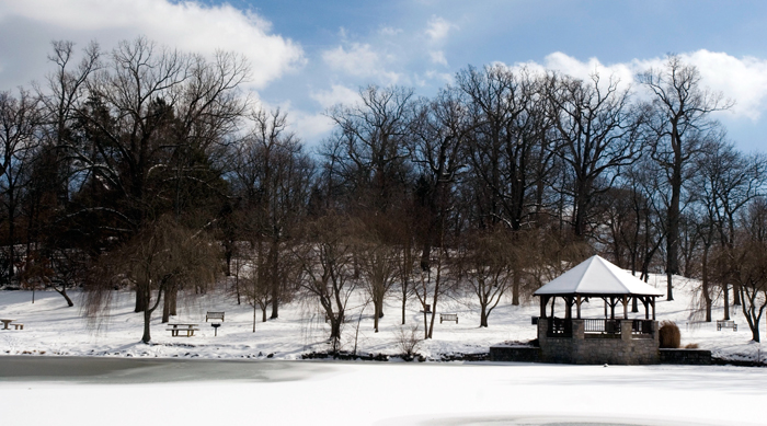 The Duck Pond at Virginia Tech 