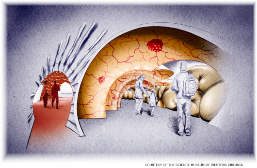 Rendering for a walk-through digestive system