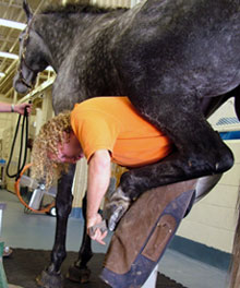Travis Burns, farrier at the Virginia-Maryland Regional College of Veterinary Medicine, served as an official farrier at the 2010 World Equestrian Games in Lexington, Ky.