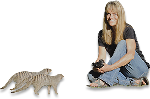 Kathleen Alexander, associate professor of wildlife in the College of Natural Resources and Environment