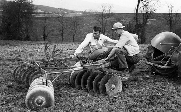 tilling clover and mulch